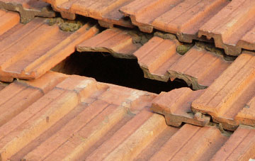 roof repair Woolsington, Tyne And Wear